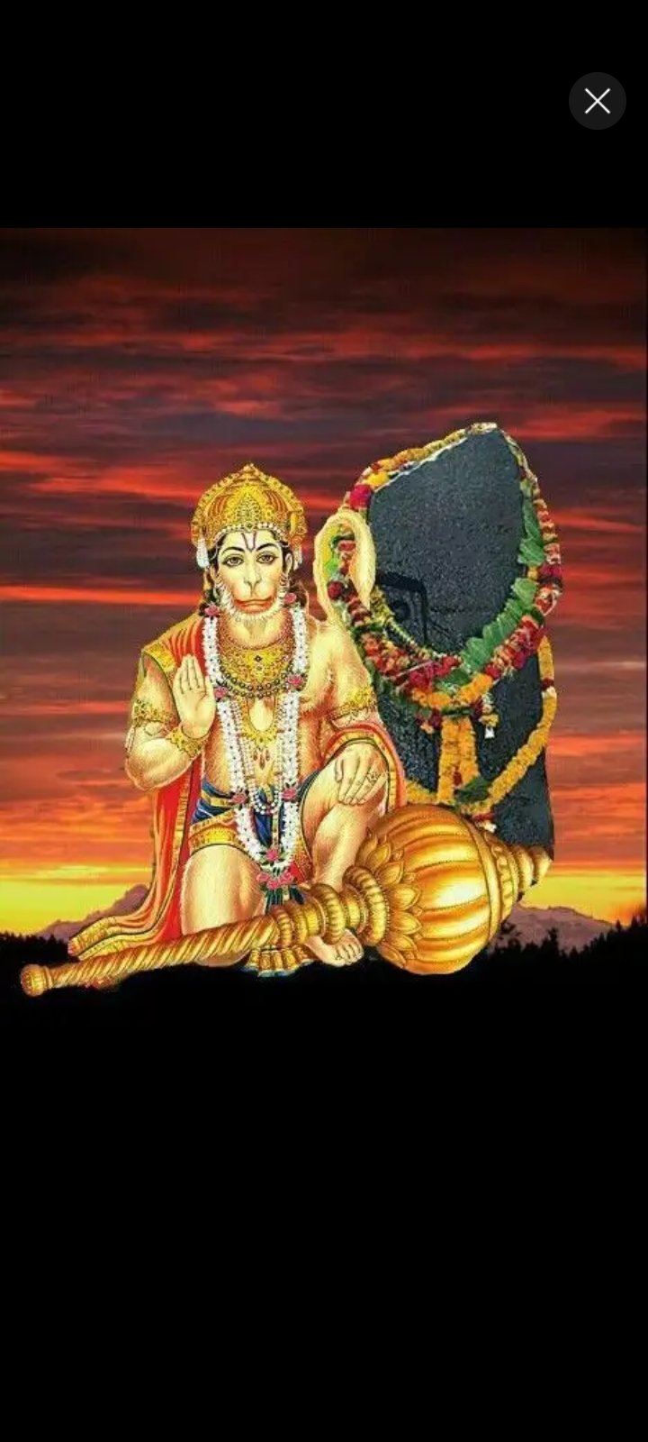 DIVYA SHARMA